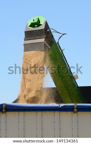 Combine working a newly cut field of summer grass seed in the Willamette Valley of Oregon