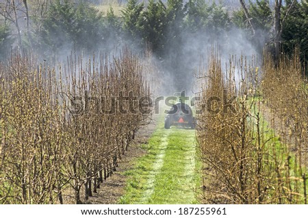 tractor using a air blast sprayer with a chemical  insecticide or fungicide in the orchard of peach trees in Oregon