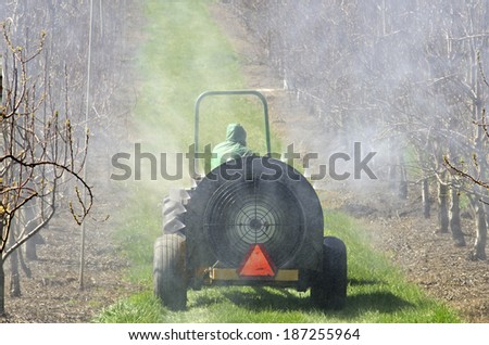 tractor using a air blast sprayer with a chemical  insecticide or fungicide in the orchard of peach trees in Oregon
