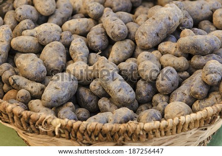 A basket full of organic blue potatoes being sold at a farmers market