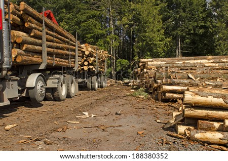 A log loader or forestry machine loads a log truck at the site landing with the driver securing the load in southern Oregon