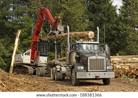 EUGENE, OR, USA - MARCH 19, 2014: A log loader or forestry machine loads the rear trailer on a log truck at the site landing in southern Oregon