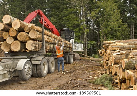 A log loader or forestry machine loads a log truck at the site landing with the driver securing the load in southern Oregon