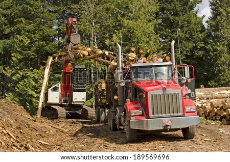 EUGENE, OR, USA - MARCH 20, 2014: A log loader or forestry machine loads a log truck at the logging site landing in southern Oregon