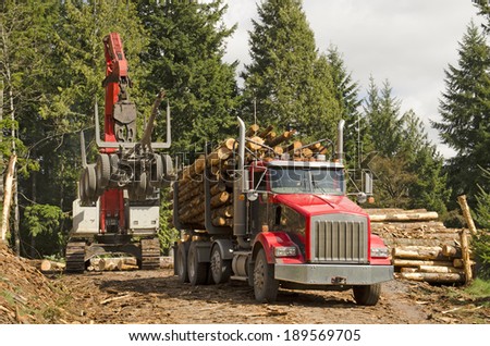 EUGENE, OR, USA - MARCH 20, 2014: A log loader or forestry machine loads a log truck at the logging site landing in southern Oregon
