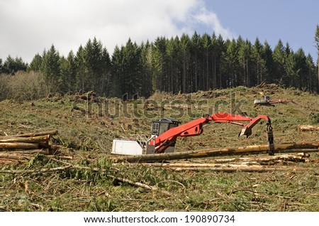 A track hoe log loader is used to move cut conifer fir tree logs on a logging unit site to the landing