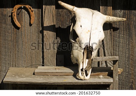 The skull of a dead cow and an upside down horseshoe signify bad luck and death on this old barn