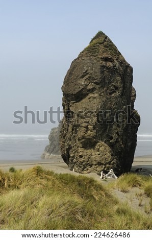 A collection of sea stack rocks on the Oregon Coast beach near Pistol River