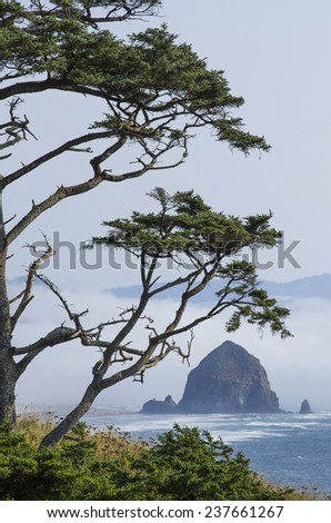Haystack Rock at Cannon Beach Oregon with coastal fog rolling in and sitka spruce tree
