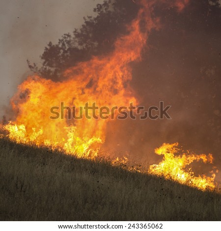 Fire fighters work  to suppress a natural cover brush and grass fire in southern Oregon