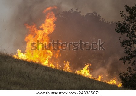 Fire fighters work  to suppress a natural cover brush and grass fire in southern Oregon