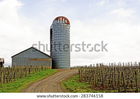 Old vineyard in the Willamette Valley of Oregon with barn and silo