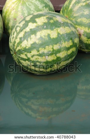 Reflections of a Watermelon, following Halloween at Brozio Farm Stand in Winston OR