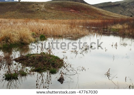 Marsh area on Bridge Creek, near Painted Cove Trail, Painted Hills Unit, John Day Fossil Beds National Monument, Oregon