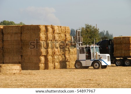 tractor moving stacks of hay onto a truck in the Willamette Valley in Oregon