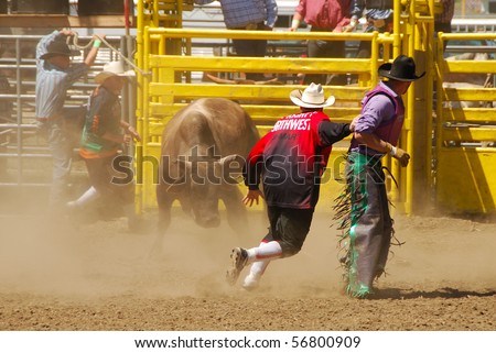 YONCALLA, OR - JULY 4: Bull Riding on the 4th of July in this Northwest Professional Rodeo Association stop in the small southern Oregon town. July 04, 2010 in Yoncalla, OR