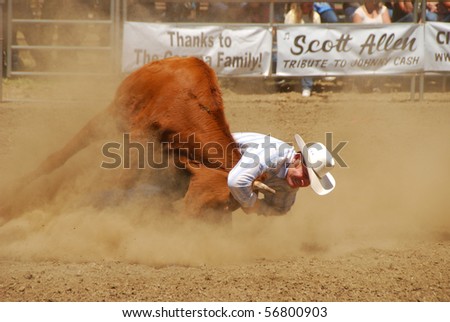 YONCALLA, OR - JULY 4: Steer Wrestling on the 4th of July in this Northwest Professional Rodeo Association stop in the small southern Oregon town. July 04, 2010 in Yoncalla, OR