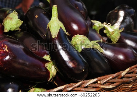 Eggplant at the Eugene Saturday Market in downtown Eugene Oregon includes a great farmers market.