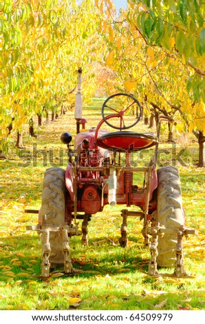 Old small tractor sitting in a fall colored peach orchard near Roseburg Oregon