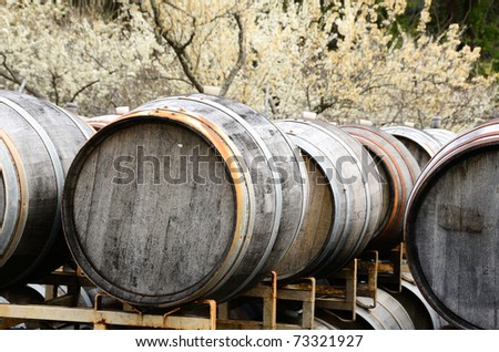 Winebarrels on racks at a small winery along Hwy 101 in Northern California