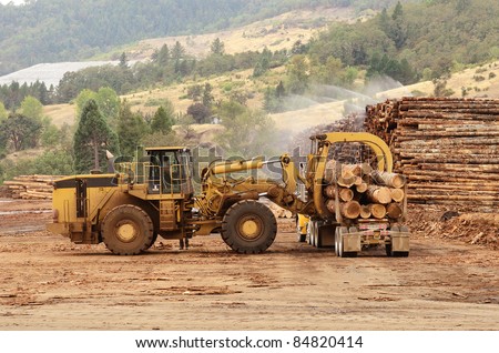 Logging Yard