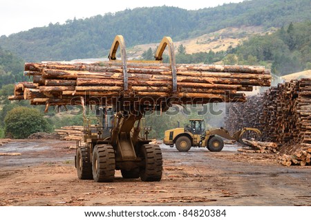 Large log loader and operations in the log yard at a conifer log mill near Roseburg Oregon