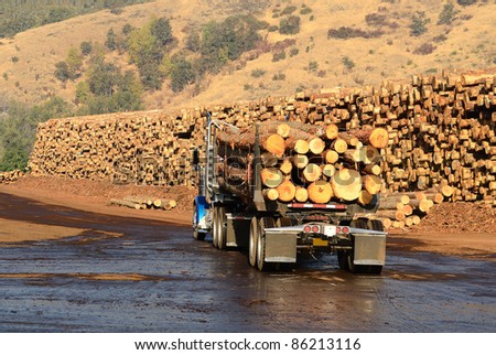 A log truck delivers its load to a sawmill in Oregon