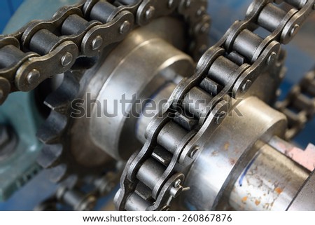 Chain and Gear