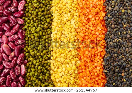 ranks of various legumes (red lentils, black lentils, yellow lentils, red beans, green mung beans) isolated on white background