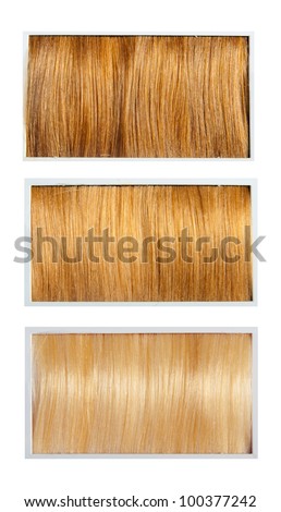 Locks of hair dyed in various shades.