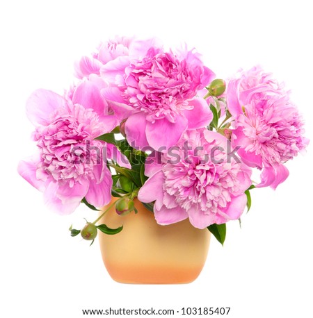 Bouquet of peonies. Isolated on white background
