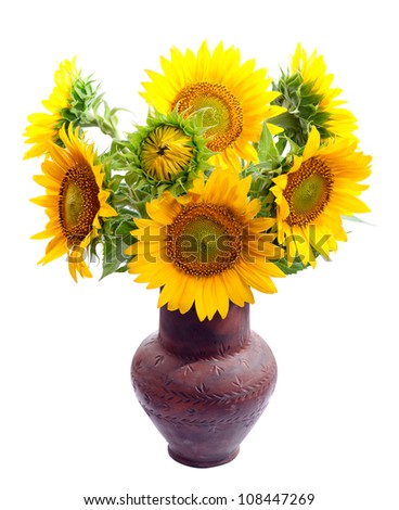 Bouquet of sunflowers in a clay vase. isolation