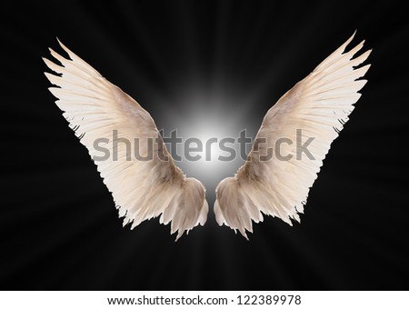 Natural white goose wings Natural white goose wings