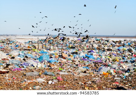 The dump untreated waste.
