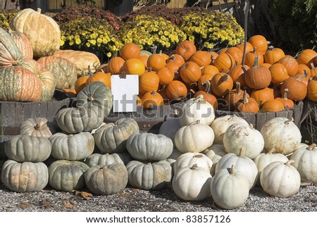 Fall harvest is here with lots of fall flowers pumpkins & more