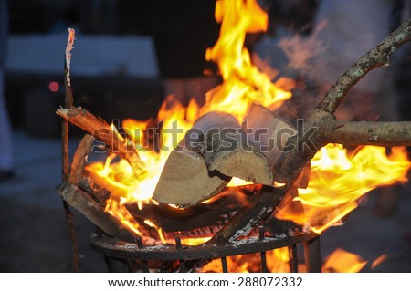 Fire basket with wet loggs
