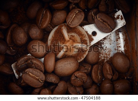 Coffee grains in grinder before process closeup