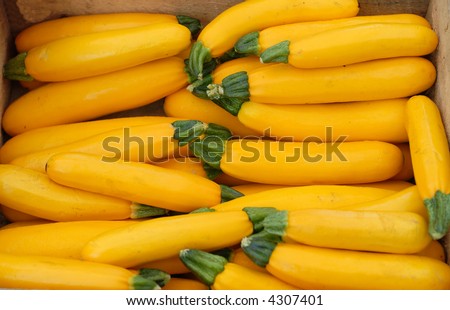 Yellow Squash at a Farmer\'s Market
