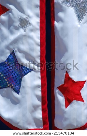 USA tux worn of fourth of july holiday celebration.