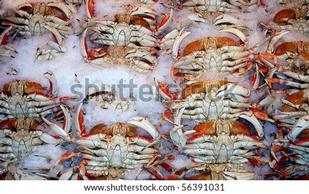 Fresh crab on ice at a seafood market.