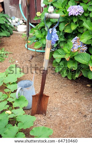 Tools in a flower garden.