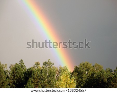 There are rainbow, cloudy sky and forest