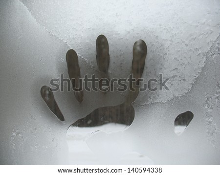 There are frosty pattern on glass winter window and print of palm