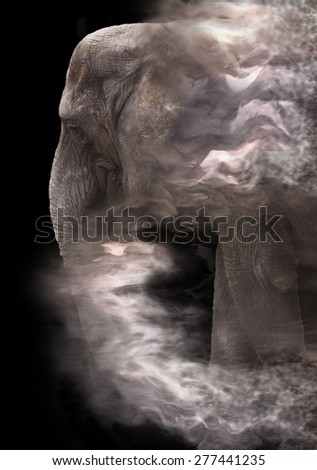 Elephant isolated on black with special effects as if disappearing in the wind. How much longer will we be able to see living elephants?