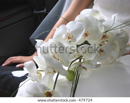 Serene closeup of bridal bouquet of orchids held by a young bride wearing traditional white dress and veil. The hand resting on the bridal car seat has a nice manicure.