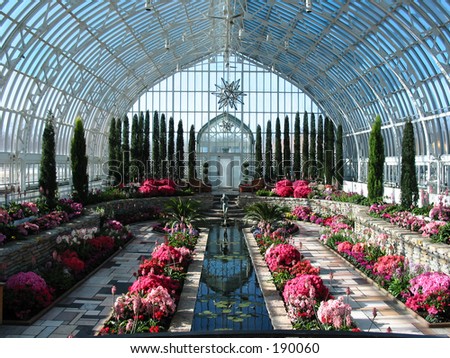 The flower room at Como park conservatory in St Paul MN.