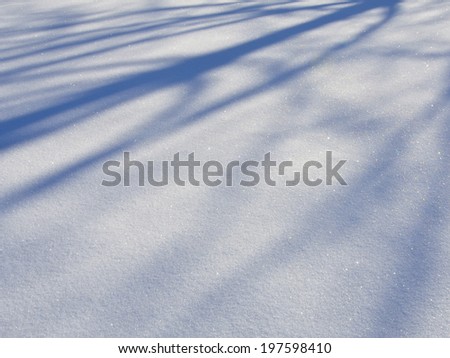 Tree Shadow Cast on Pure Snow Field