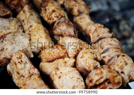 Juicy slices of meat with spices cooking on fire (shish kebab)