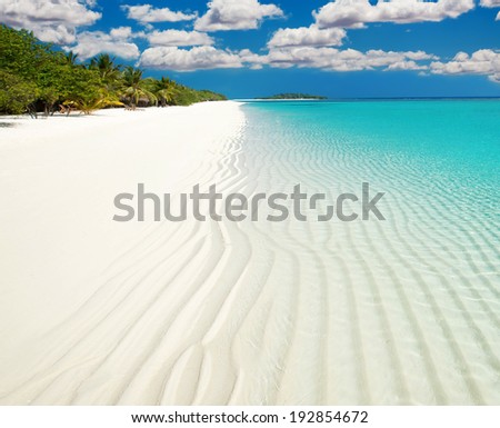 Clear white sand on Maldive island coast