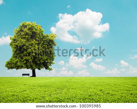 Beautiful green field and empty bench - Peaceful landscape view